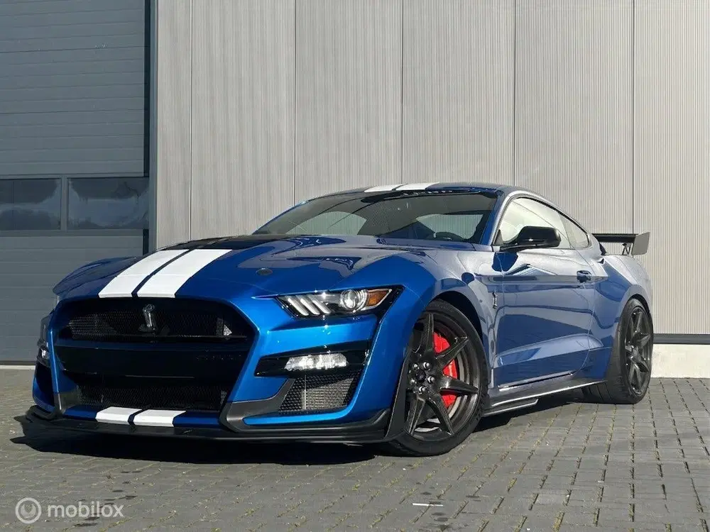 Ford Mustang USA Mustang GT500 Shelby Trackpack uit 2022, foto 12