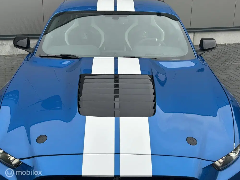 Ford Mustang USA Mustang GT500 Shelby Trackpack uit 2022, foto 8