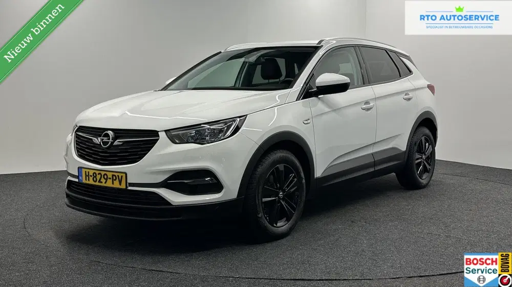Opel Grandland 1.2 Turbo Business Edition CARPLAY CAMERA uit 2020