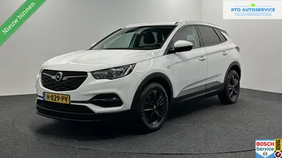 Opel Grandland 1.2 Turbo Business Edition CARPLAY CAMERA uit 2020