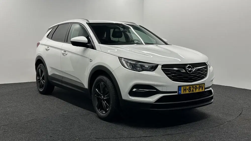 Opel Grandland 1.2 Turbo Business Edition CARPLAY CAMERA uit 2020, foto 3