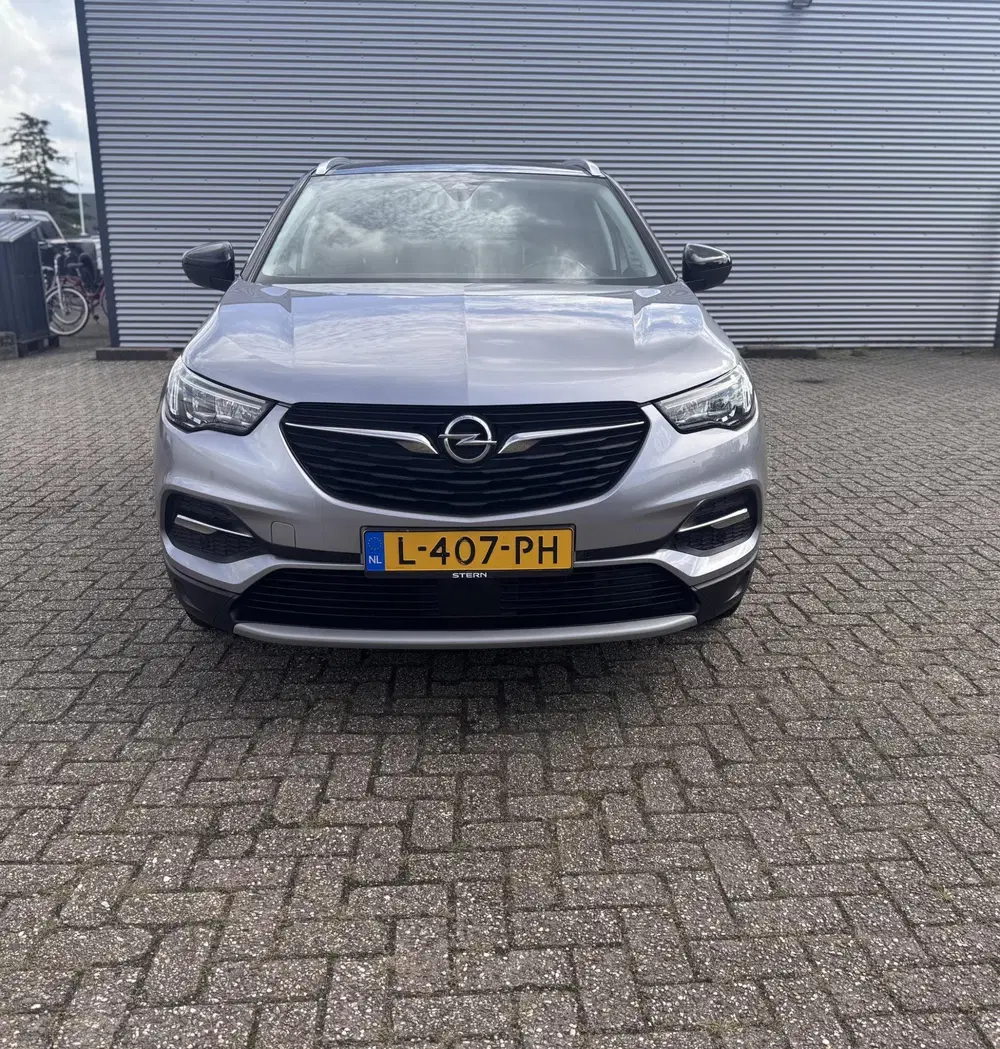 Opel Grandland 1.6 Turbo Hybrid4 Elegance uit 2021, foto 3