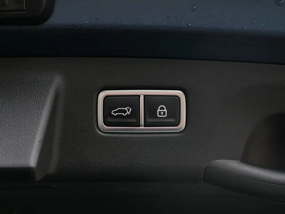 Kia Sorento 1.6 T-GDI Plug-in Hybrid 4WD ExecutiveLine uit 2021, foto 14