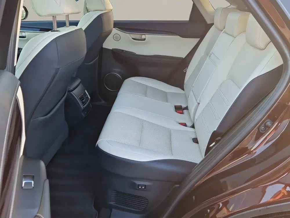 Lexus NX 300h AWD Executive Line + President Pack uit 2020, foto 13