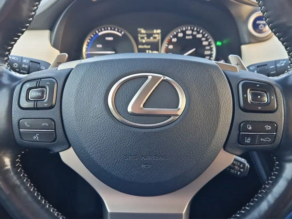 Lexus NX 300h AWD Executive Line + President Pack uit 2020, foto 15