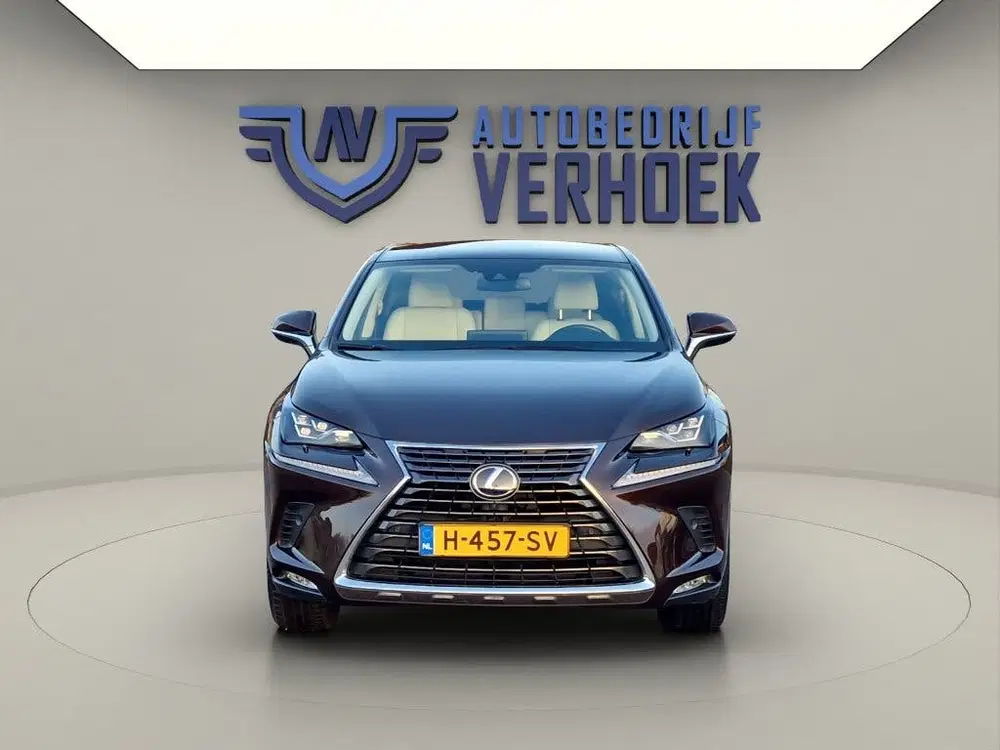 Lexus NX 300h AWD Executive Line + President Pack uit 2020, foto 4