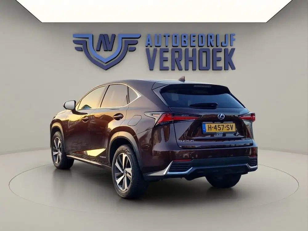 Lexus NX 300h AWD Executive Line + President Pack uit 2020, foto 7