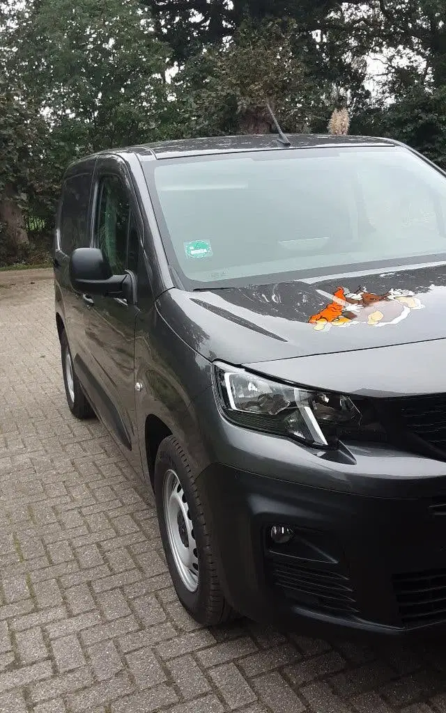 Peugeot Partner 50kWh 136pk 1000kg 2022 Grijs uit 2022, foto 5