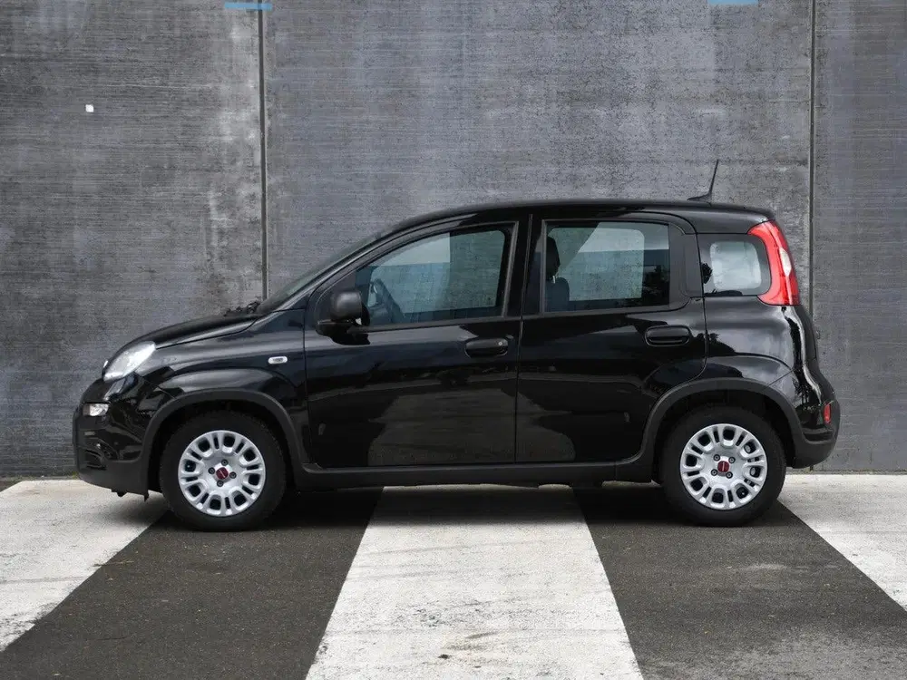 Fiat Panda Urban 1.0 Hybrid 70pk PDC ACHTER uit 2024, foto 3