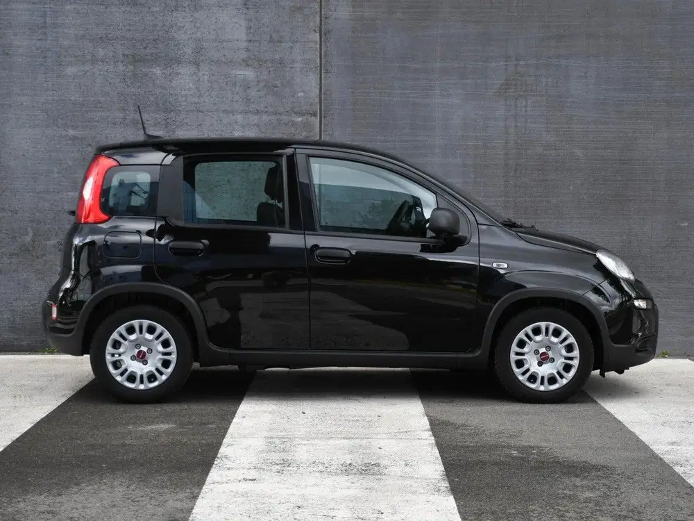 Fiat Panda Urban 1.0 Hybrid 70pk PDC ACHTER uit 2024, foto 4