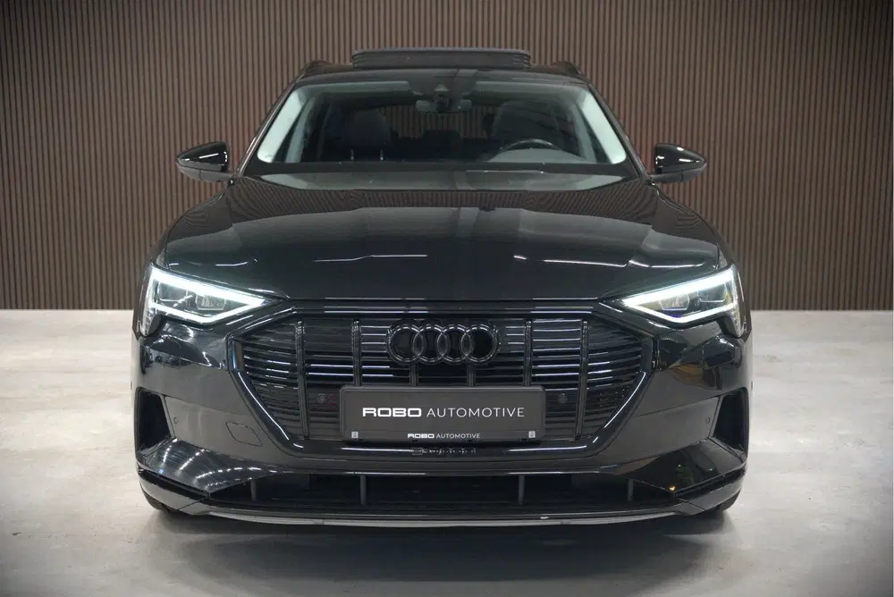 Audi e-tron e-tron 50 quattro Launch edition plus 71 k uit 2019, foto 10