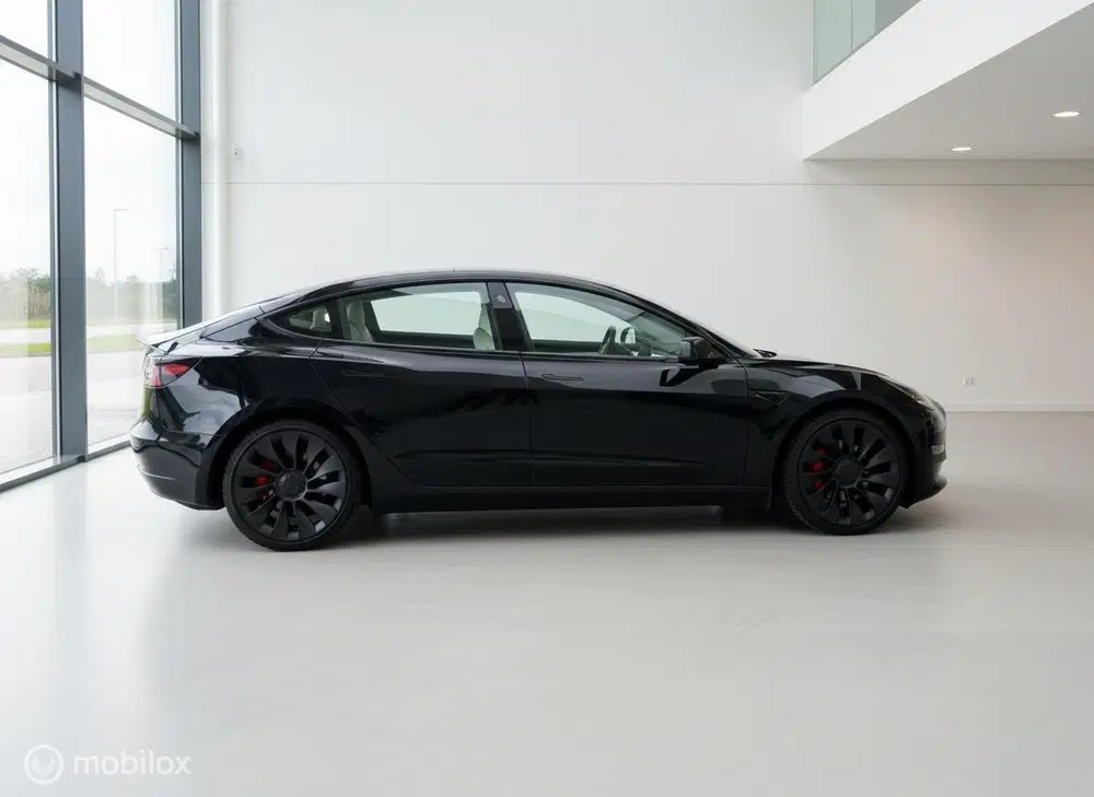 Tesla Model 3 Performance AWD 75 kWh uit 2021, foto 11