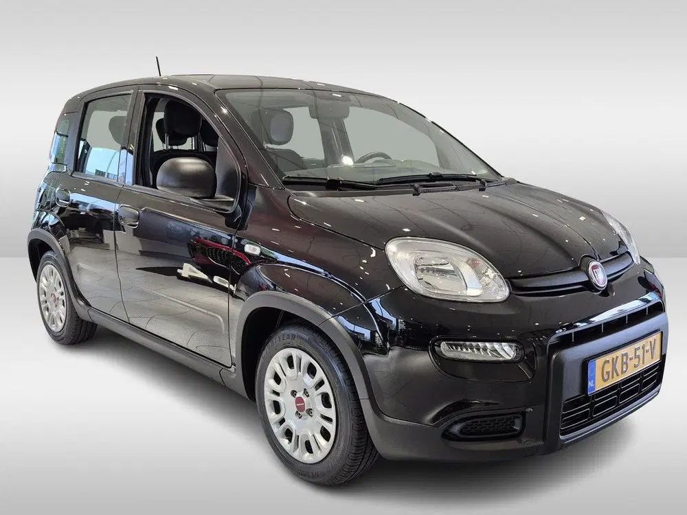Fiat Panda 1.0 Hybrid Urban uit 2024, foto 2