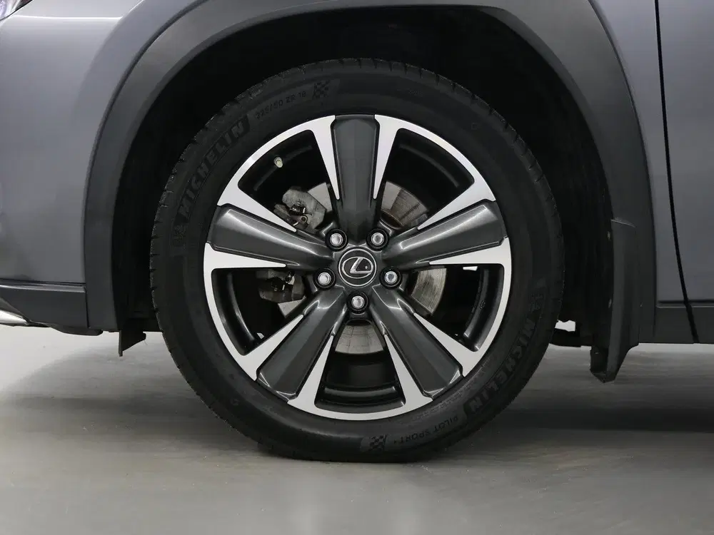 Lexus UX 250h AWD Executive Line uit 2019, foto 6