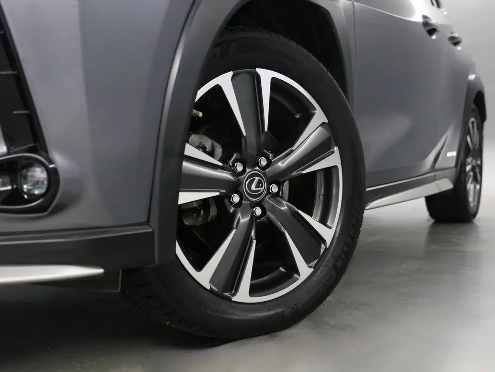 Lexus UX 250h AWD Executive Line uit 2019, foto 7