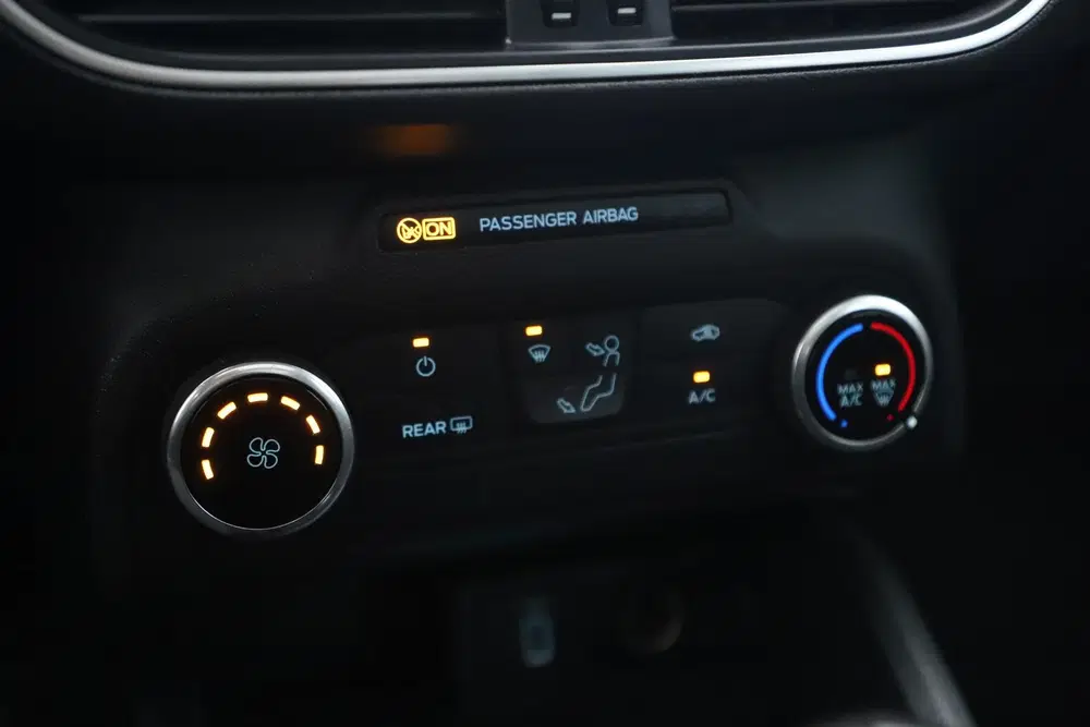 Ford Focus 1.5 EcoBlue Active Business Panoramadak 17 uit 2019, foto 12