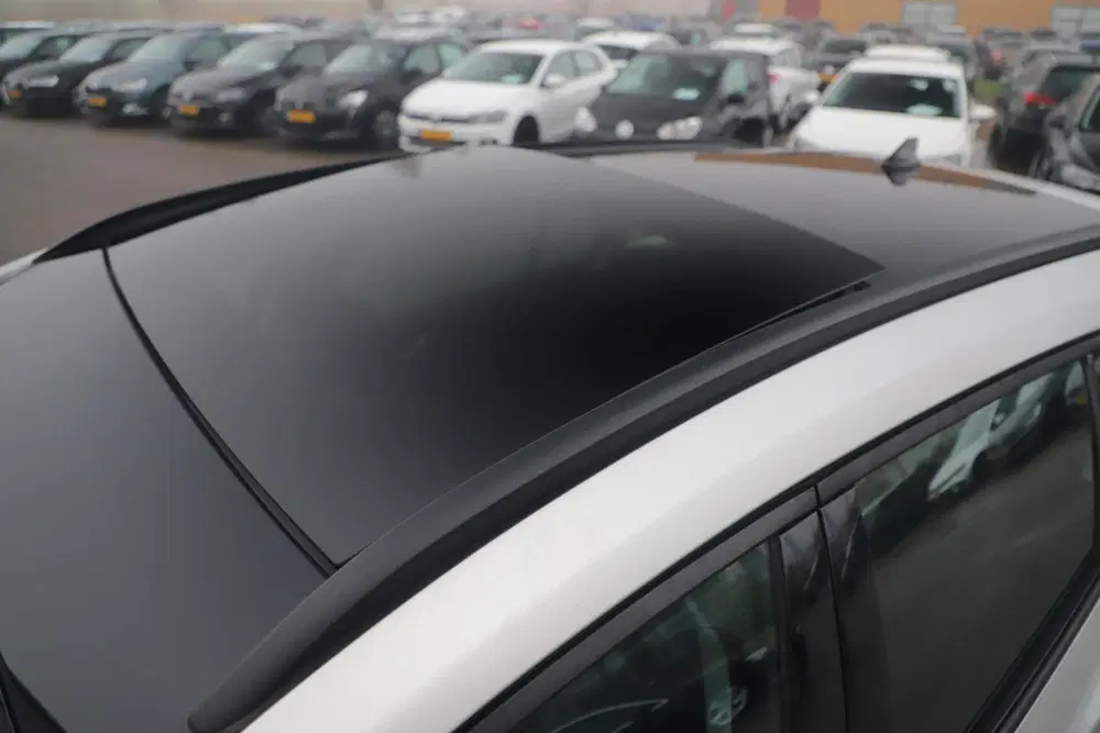 Ford Focus 1.5 EcoBlue Active Business Panoramadak 17 uit 2019, foto 6