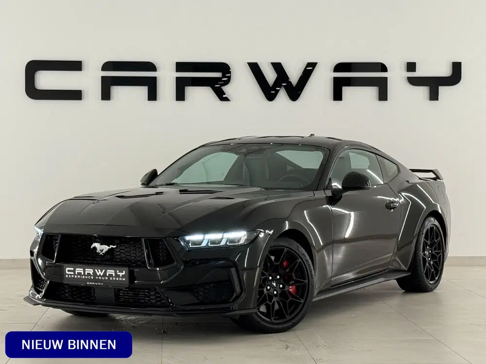 Ford Mustang Fastback Performance Enige 2026 Mustang In uit 2026