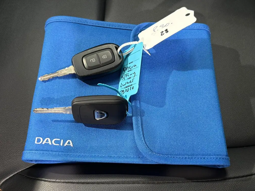 Dacia Spring Comfort Plus 27 kWh uit 2022, foto 14