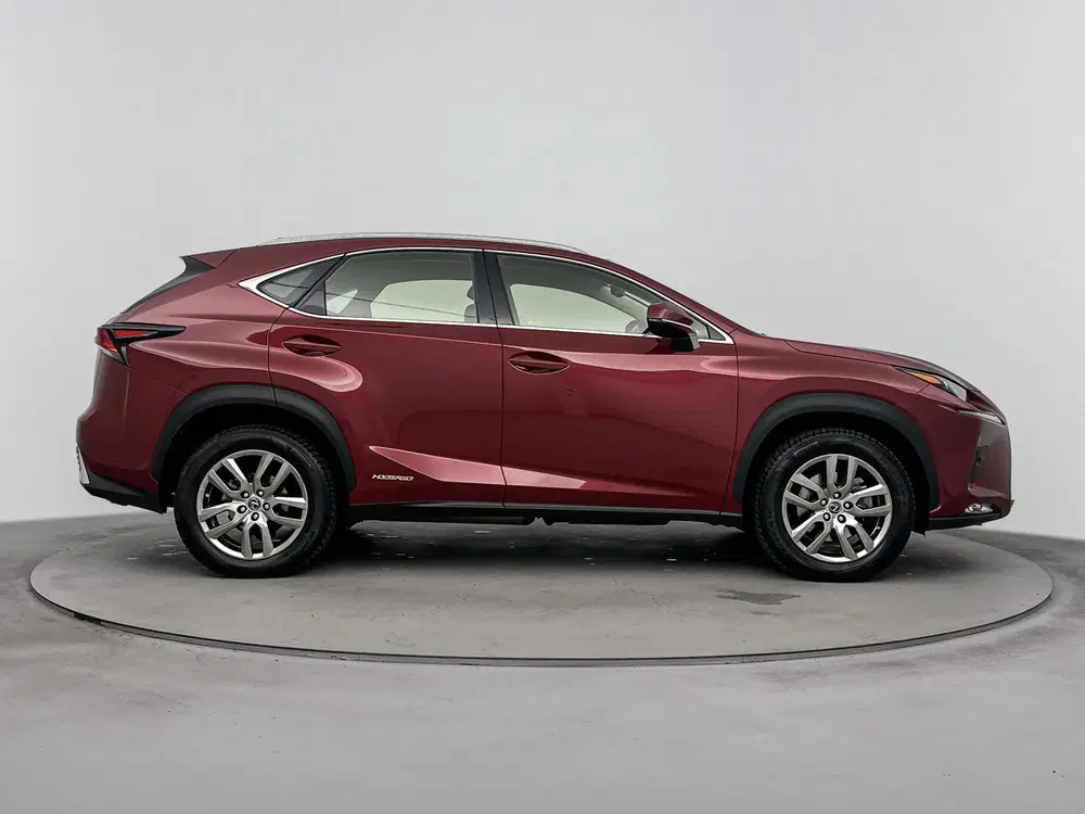 Lexus NX 300h AWD Business Line Pro uit 2020, foto 10