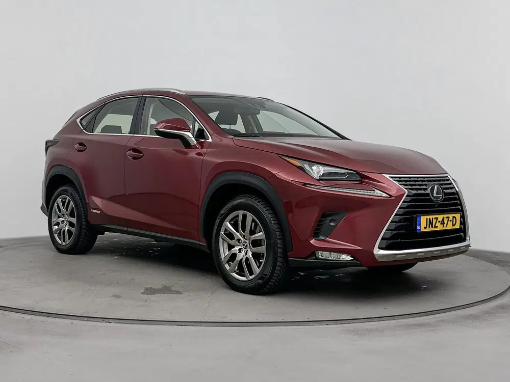 Lexus NX 300h AWD Business Line Pro uit 2020, foto 11