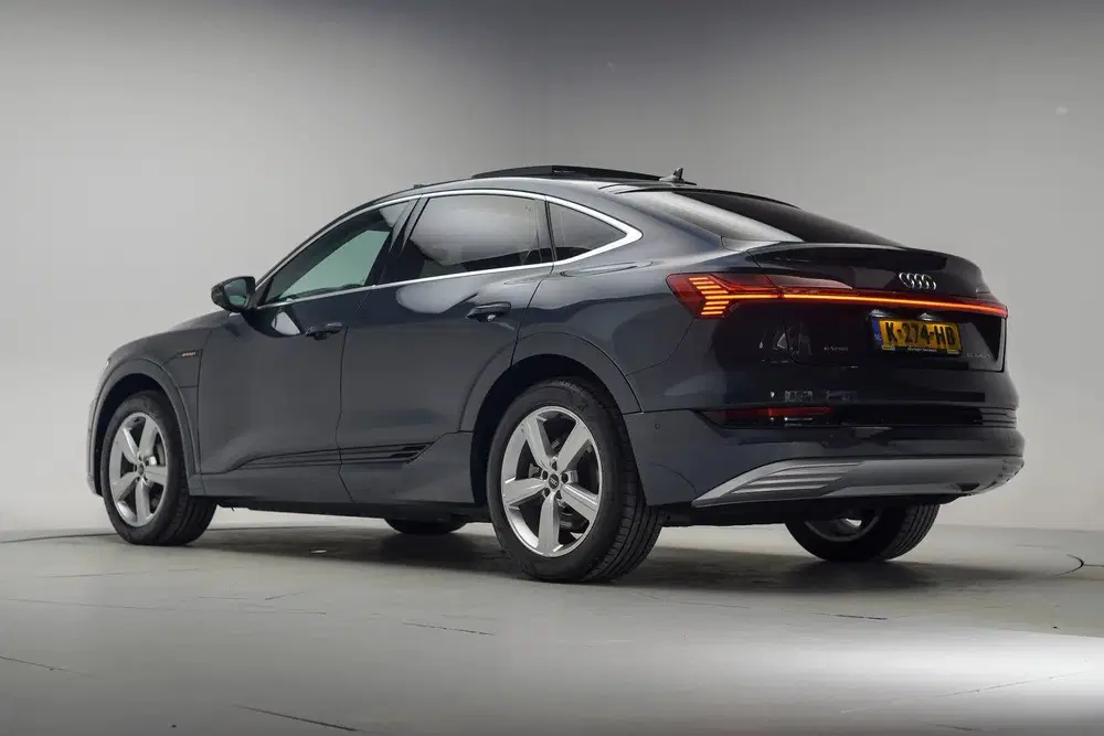 Audi e-tron 50 quattro Business Edition+ [ Panoram uit 2020, foto 3