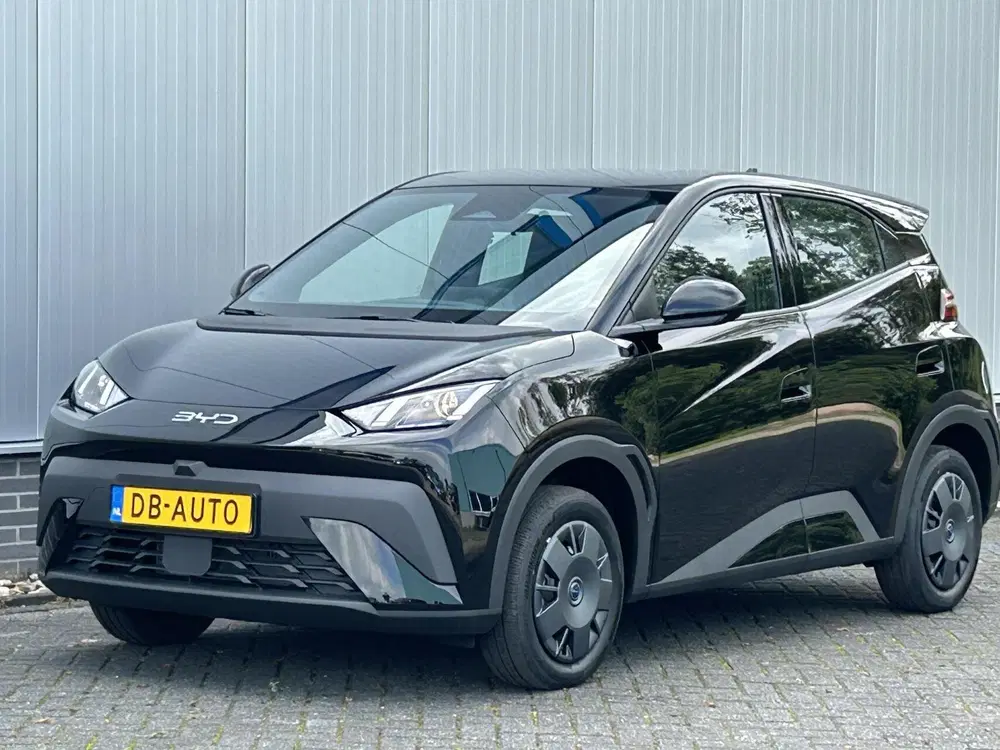 BYD Dolphin Surf Active 30 kWh NIEUW DIRECT RIJDEN I NAVI + uit 2025, foto 3