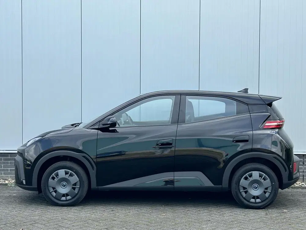 BYD Dolphin Surf Active 30 kWh NIEUW DIRECT RIJDEN I NAVI + uit 2025, foto 8
