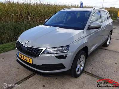 Skoda Karoq 1.0 TSI Business Edition uit 2019