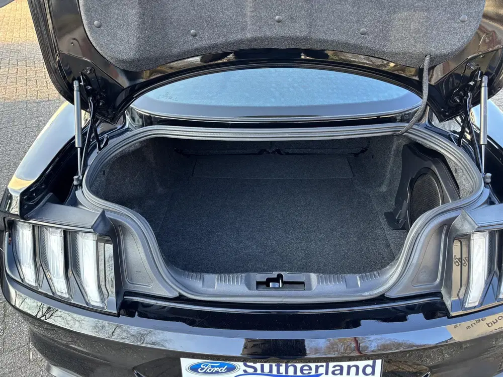 Ford Mustang 5.0 V8 Mach-1 uit 2023, foto 9