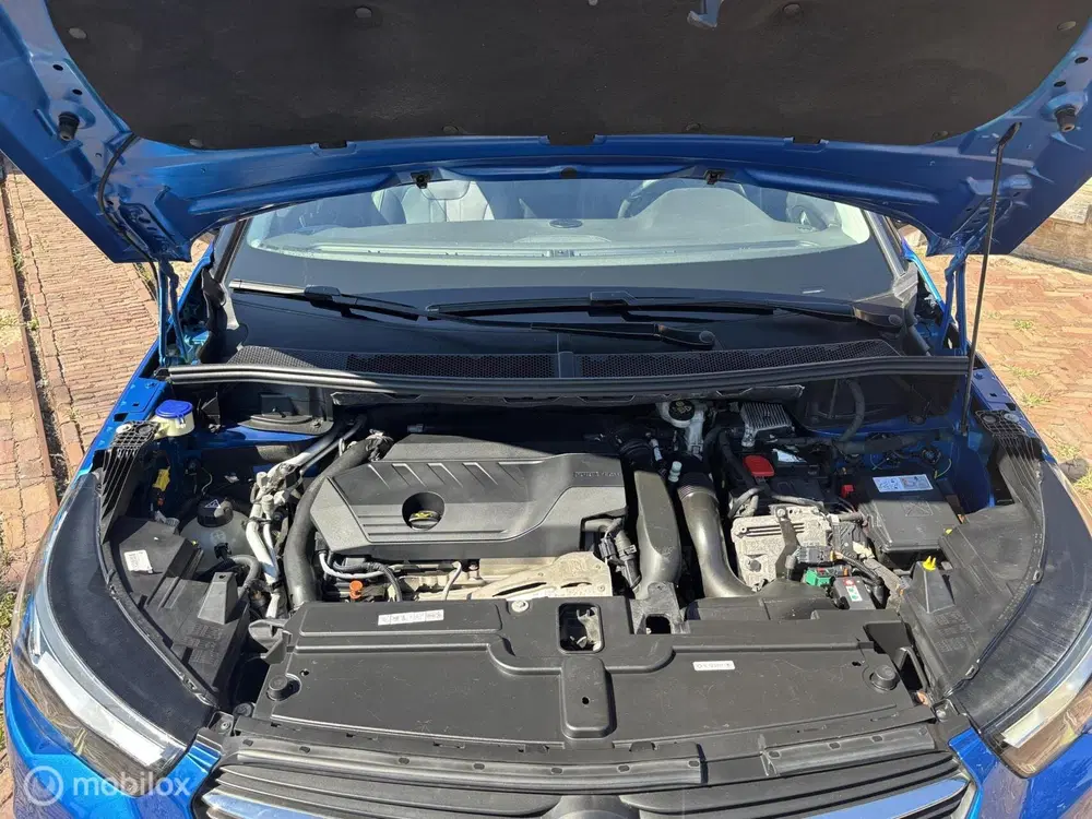 Opel Grandland 1.6T Hybrid4 Business Exe. AFN TREKHAAK BO uit 2020, foto 9