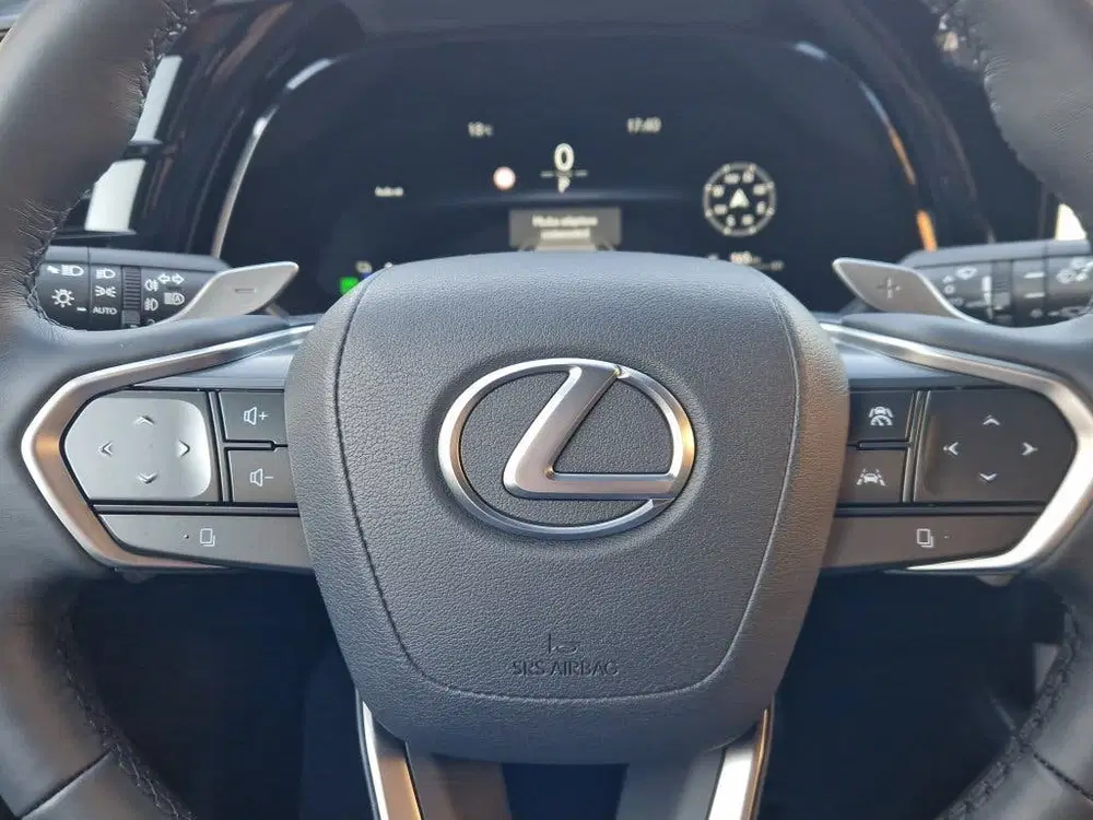 Lexus RX 450h+ Executive Line NL Auto uit 2025, foto 15