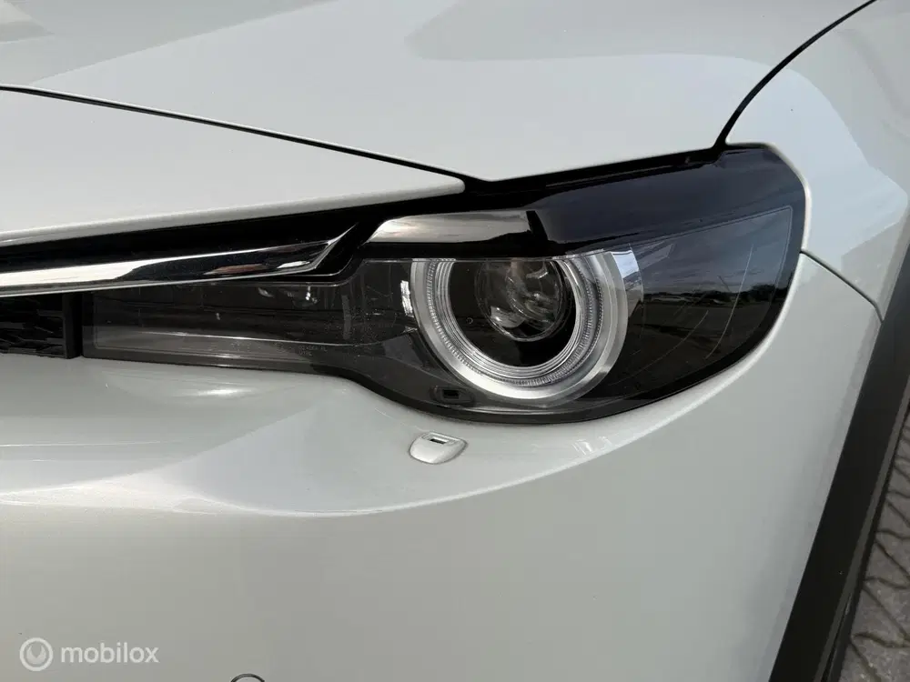 Mazda MX-30 e-SkyActiv 145 uit 2021, foto 15