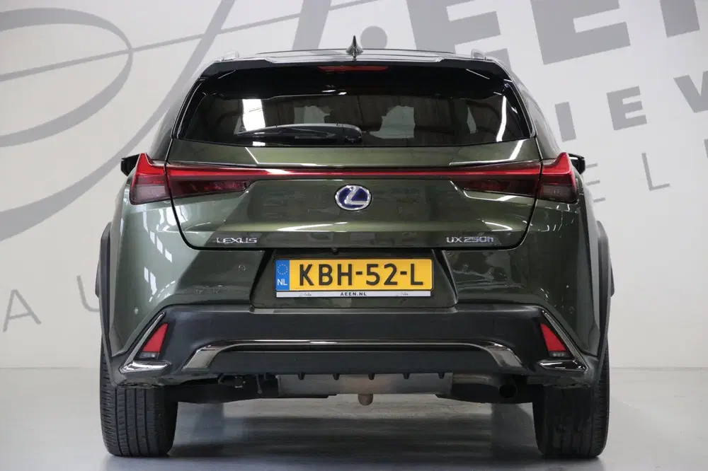 Lexus UX 250h F Sport Line uit 2019, foto 13