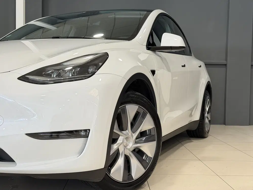 Tesla Model Y Long Range AWD 75 kWh uit 2023, foto 2