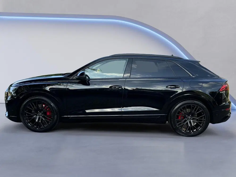 Audi Q8 55 TFSI e quattro Pro Line S uit 2024, foto 8