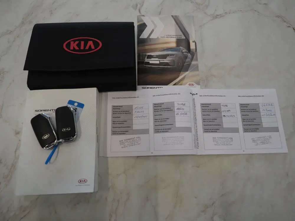 Kia Sorento 1.6 T-GDI Plug-in Hybrid 4WD DynamicLine 7 uit 2021, foto 8