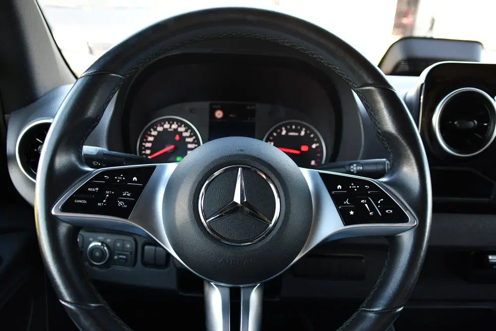 Mercedes-Benz Sprinter 315 1.9 CDI RWD L2H2 PB Edition FACEL uit 2024, foto 14