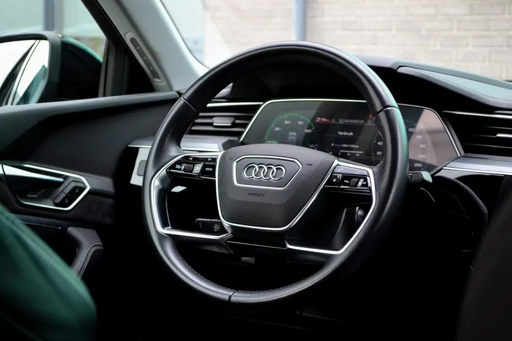Audi e-tron 50 quattro edition 71 kWh SOH89% LED L uit 2020, foto 12