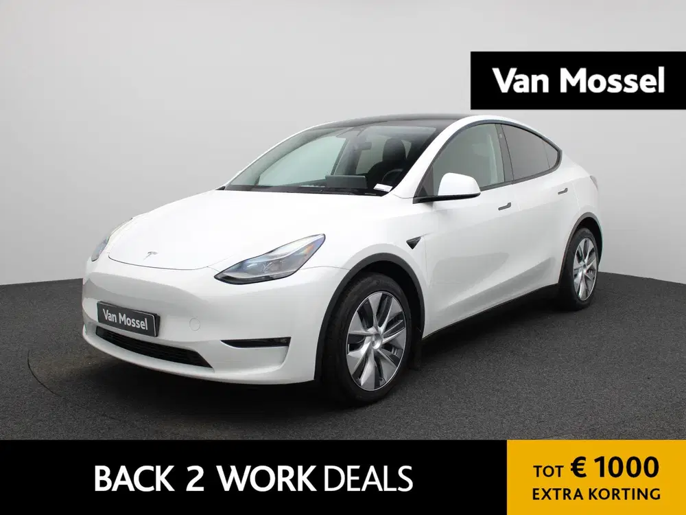 Tesla Model Y Long Range AWD 75 kWh uit 2023
