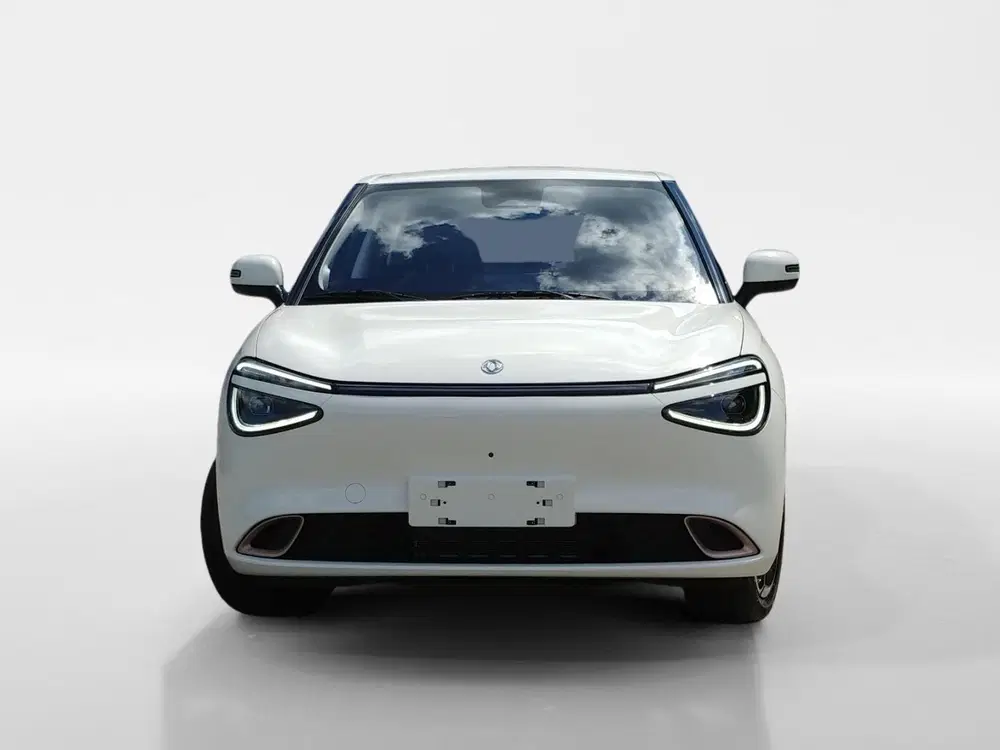 Dongfeng BOX Premium Edition 42 kWh uit 2025, foto 2