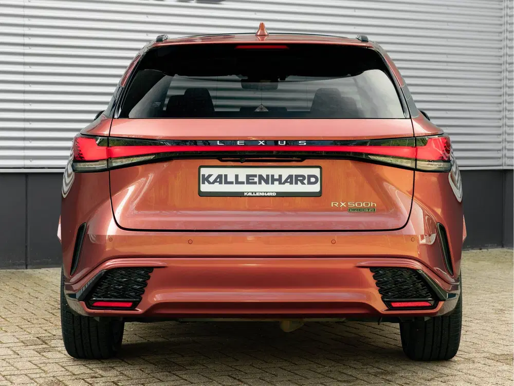 Lexus RX F Sport Line uit 2023, foto 7