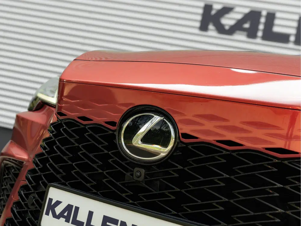 Lexus RX F Sport Line uit 2023, foto 9