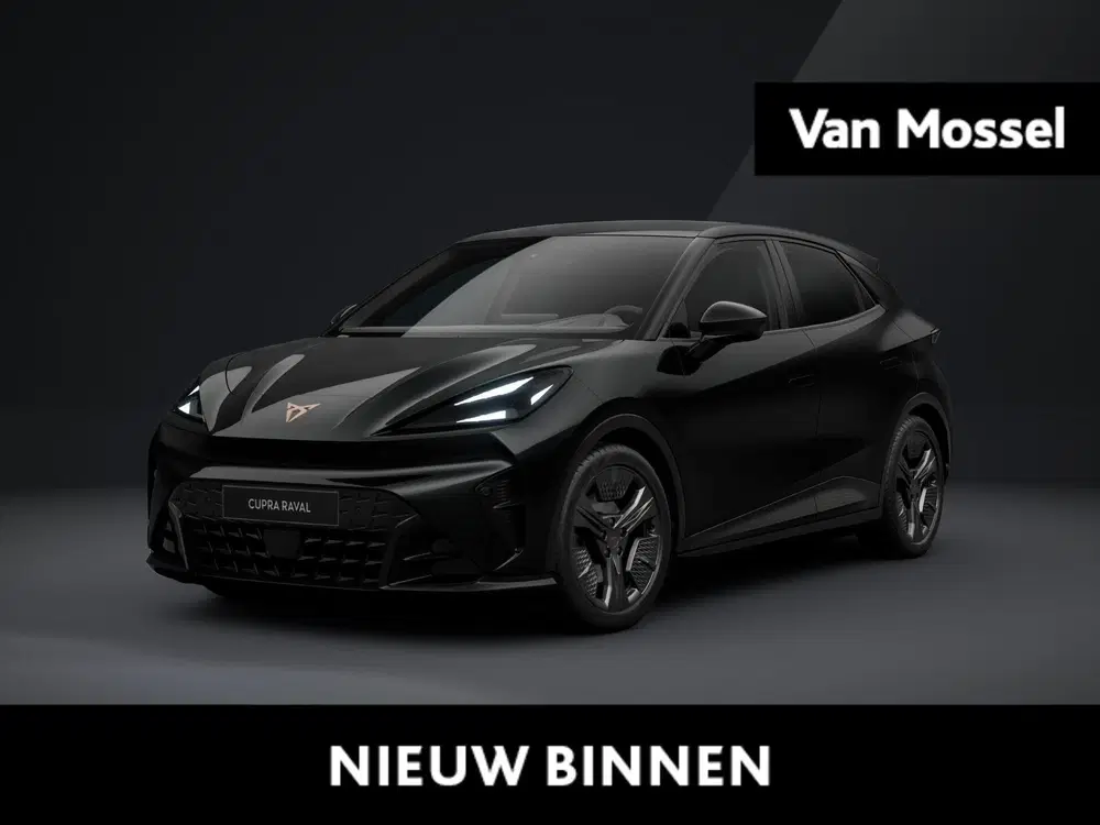 Cupra Raval Business 39 kWh 135 PK uit 2026