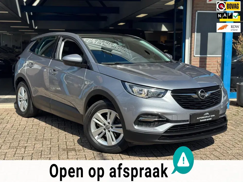 Opel Grandland 1.2 Turbo Edition 2019 NAVI CAMREA LM NAP uit 2019