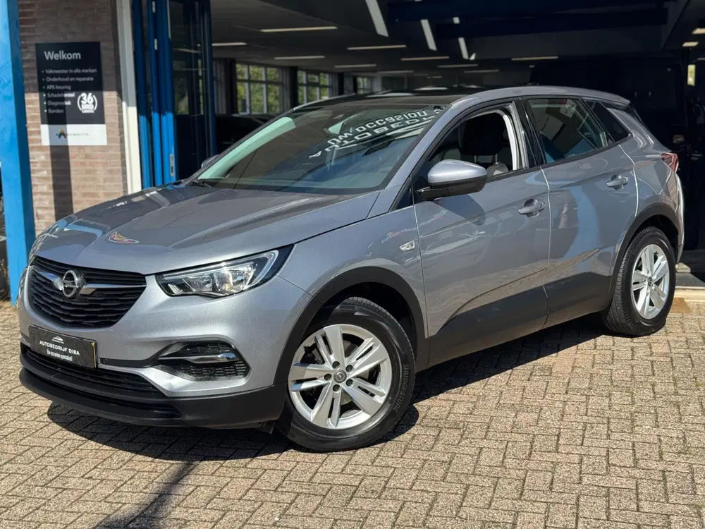 Opel Grandland 1.2 Turbo Edition 2019 NAVI CAMREA LM NAP uit 2019, foto 2