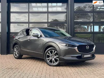 Mazda CX-30 2.0 e-SkyActiv-X M Hybrid Luxury*Lederen b uit 2020