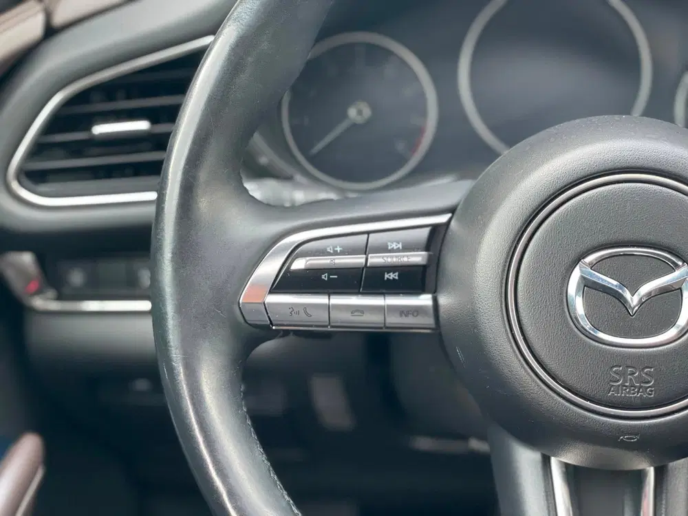 Mazda CX-30 2.0 e-SkyActiv-X M Hybrid Luxury*Lederen b uit 2020, foto 15