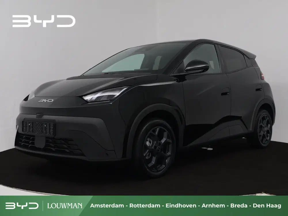 BYD Dolphin Surf Comfort 43 kWh uit 2026