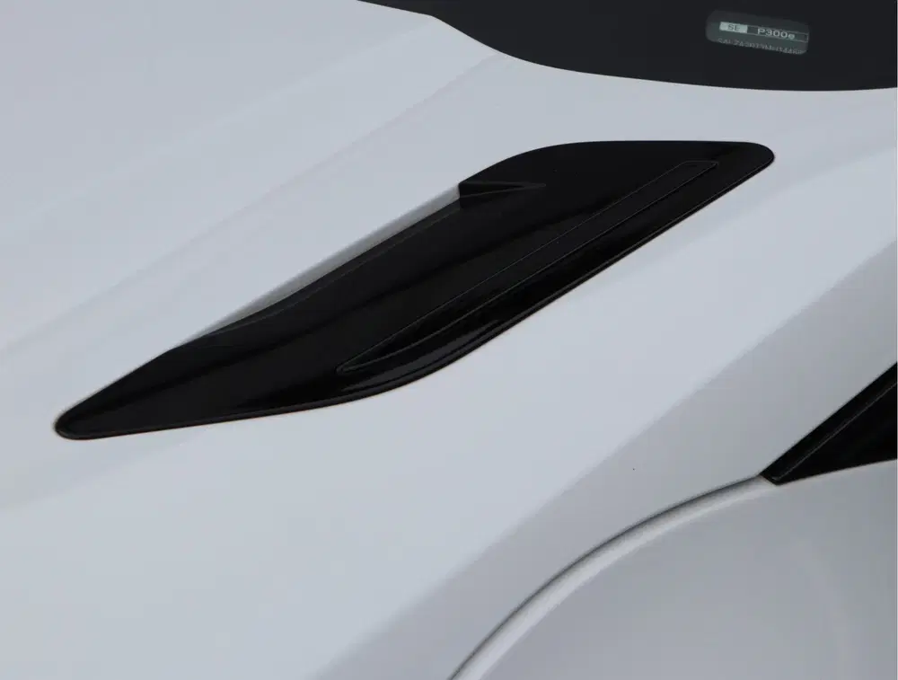 Land Rover Range Rover Evoque P300e R-Dynamic HSE uit 2021, foto 12